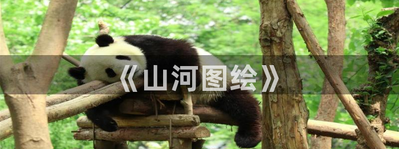 羞羞漫画游泳教练：《山河图绘》